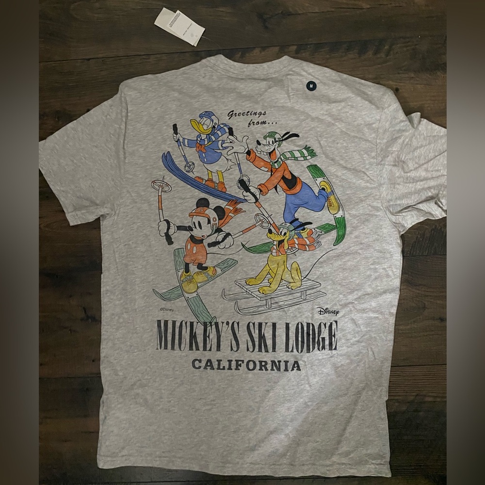 Hollister Graphic Tee -Relaxed Mickey's Ski Lodge Graphic NEW DISCONTINUED